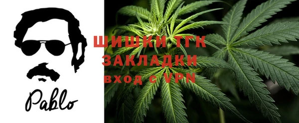 трава Арсеньев
