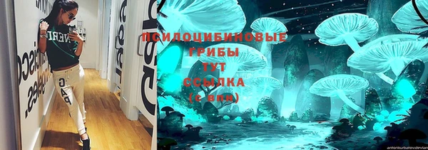 ГАЛЛЮЦИНОГЕННЫЕ ГРИБЫ Балабаново