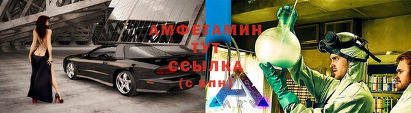 ГАЛЛЮЦИНОГЕННЫЕ ГРИБЫ Балабаново